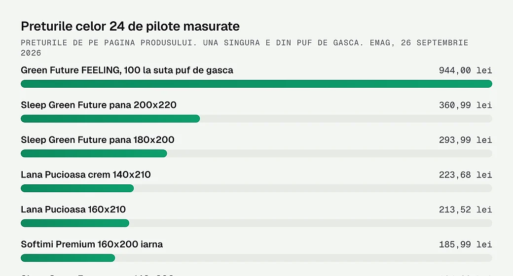 Preturile celor 24 de pilote masurate