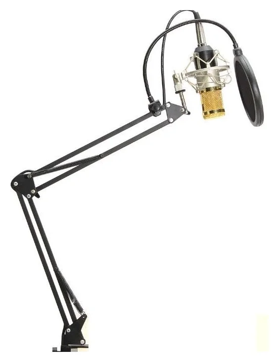 BM800, microfonul XLR care nu merge scos din cutie